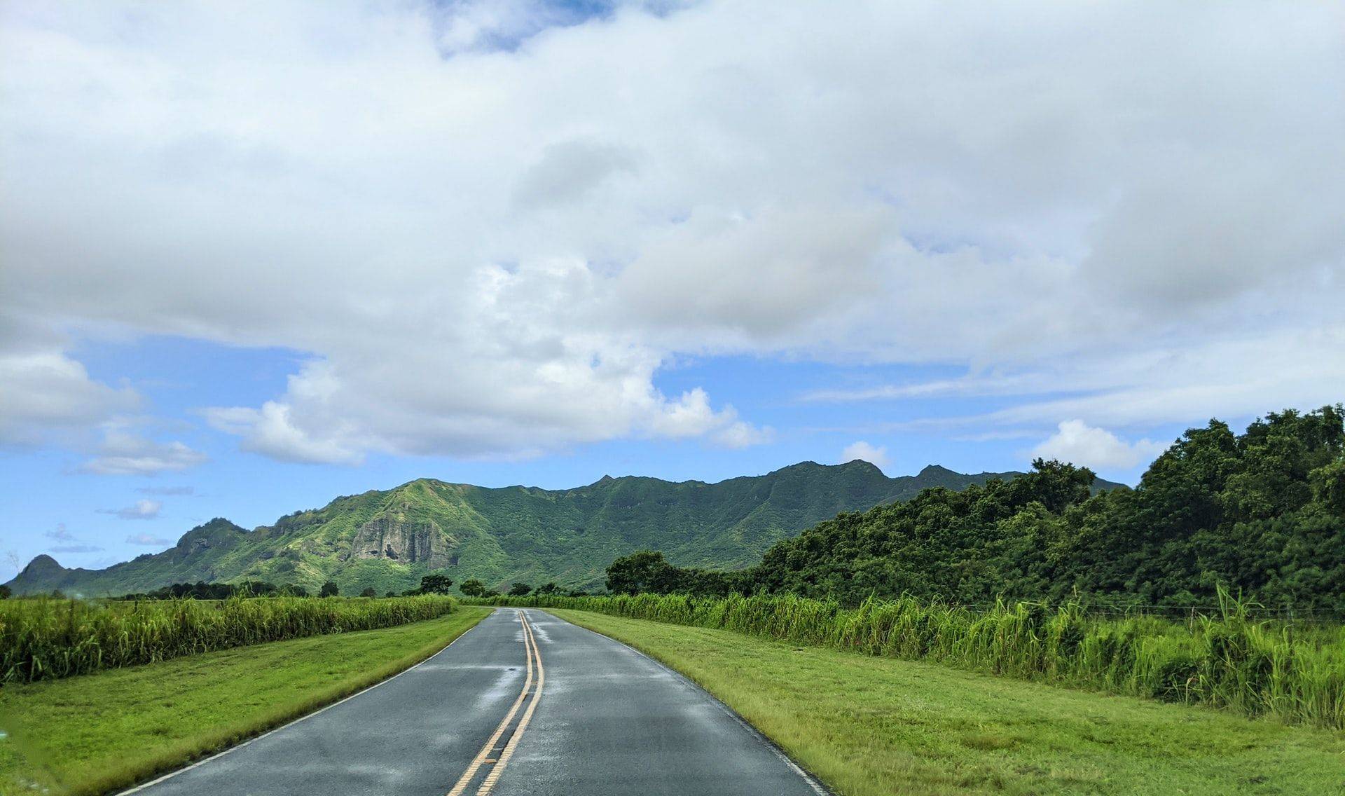 Travel to Kauai landscape